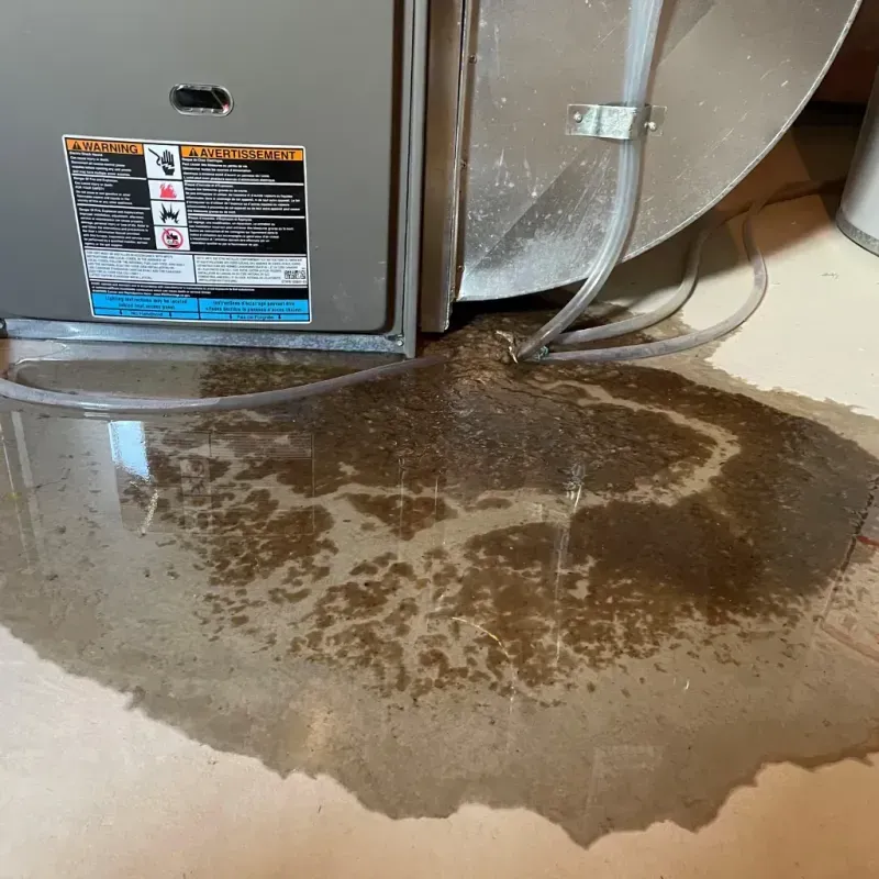 Appliance Leak Cleanup in Bent County, CO